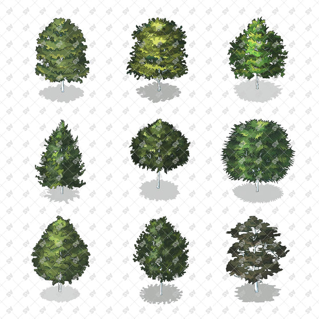 Isometric Hand Drawn Trees