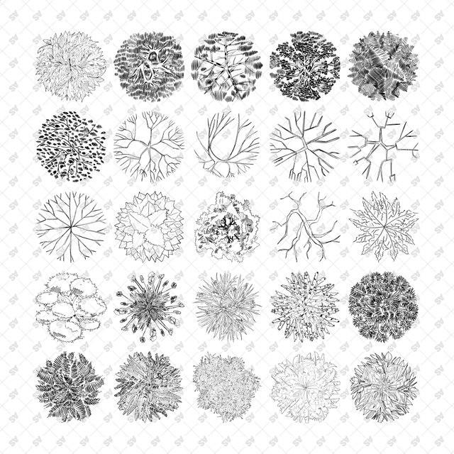 Vector, PNG Hand Drawn Trees in Top View Set