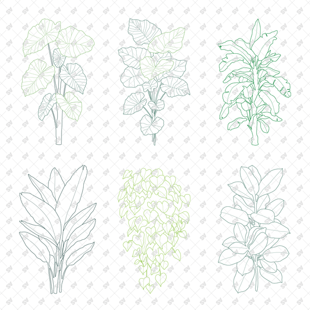 CAD, Vector, PNG Plants in Color and B/W