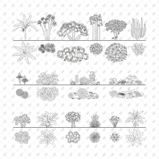 CAD, Vector Tropical Plants Set - Top + Side view