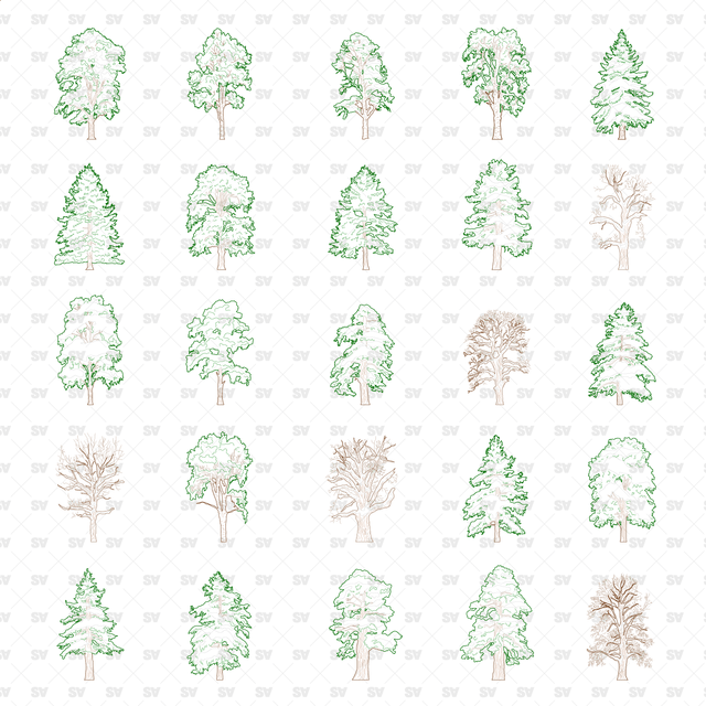 CAD, Vector, PNG Winter Trees in Color and B/W