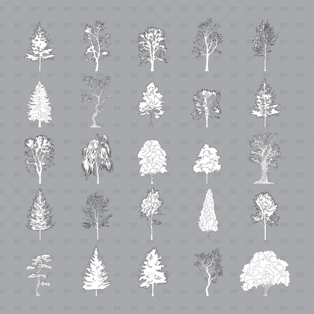 CAD, Vector, PNG Trees