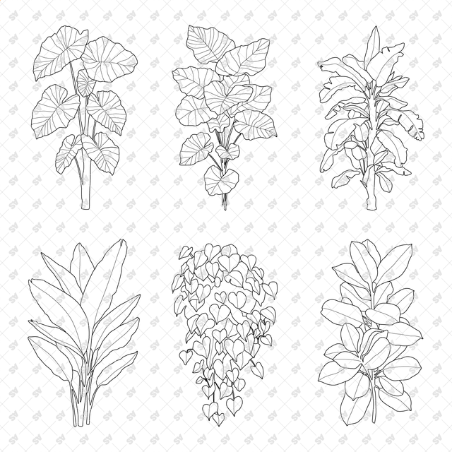 CAD, Vector, PNG Plants in Color and B/W