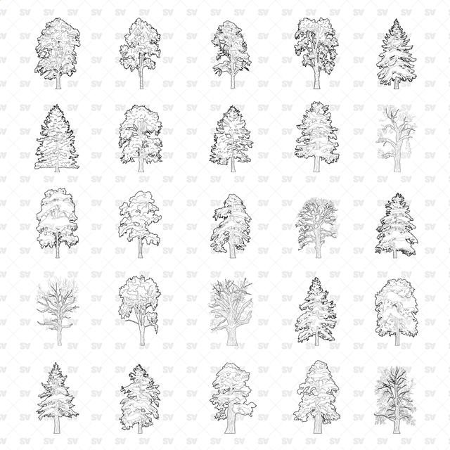 CAD, Vector, PNG Winter Trees in Color and B/W