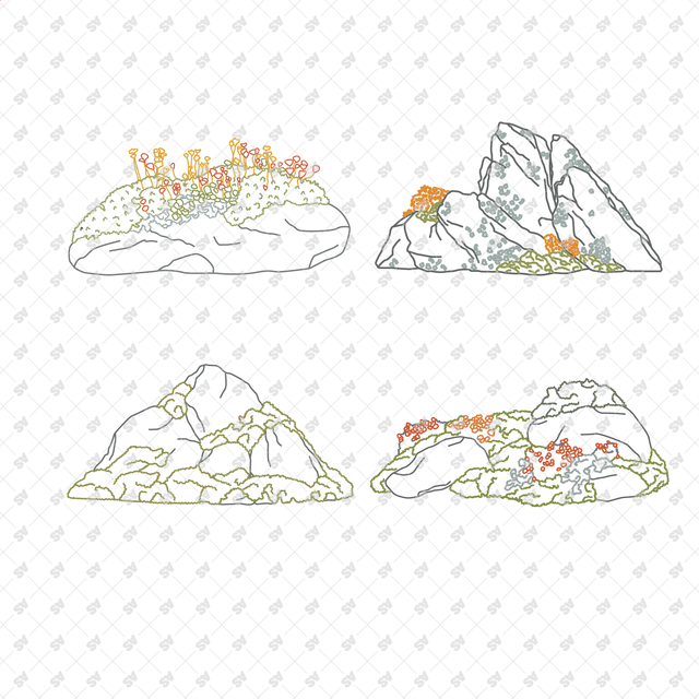 CAD, Vector, PNG Rockscapes in Color and B/W