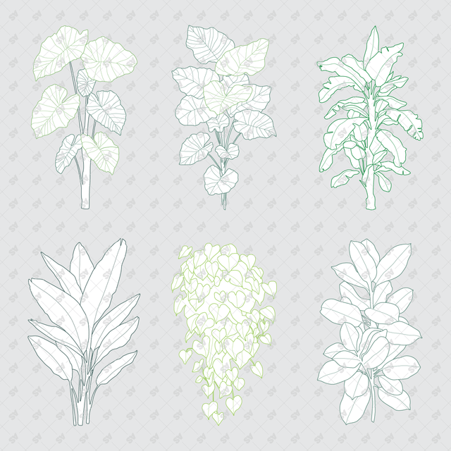 CAD, Vector, PNG Plants in Color and B/W