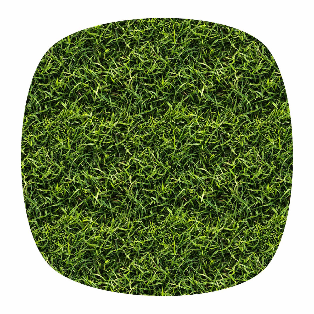 Architectural Materials | Patterns | Seamless Grass Textures – Studio ...