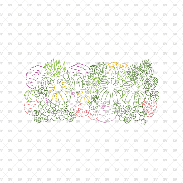 CAD, Vector, PNG Succulent and Cactus Landscapes in Top View in Color and B/W