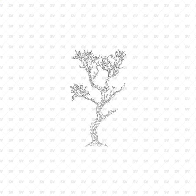 CAD, Vector, PNG Trees