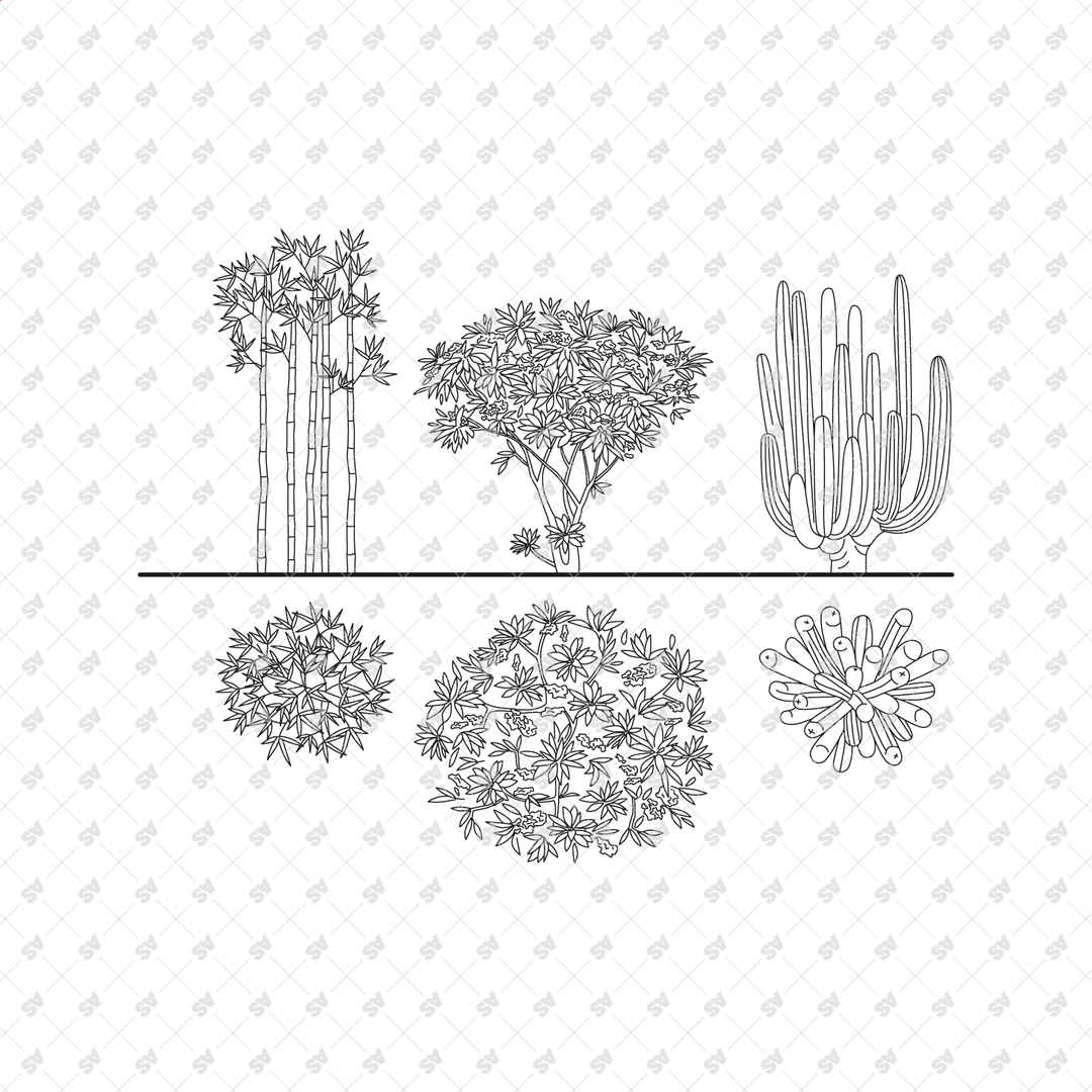 CAD and Vector Line Drawing Tropical Plants Set – Studio Alternativi