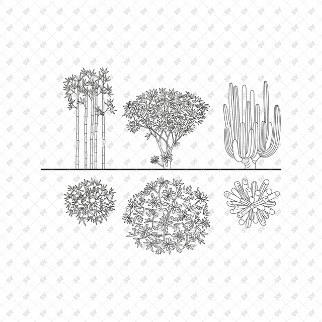 Revit Family Tropical Plants Set (Top + Side view)