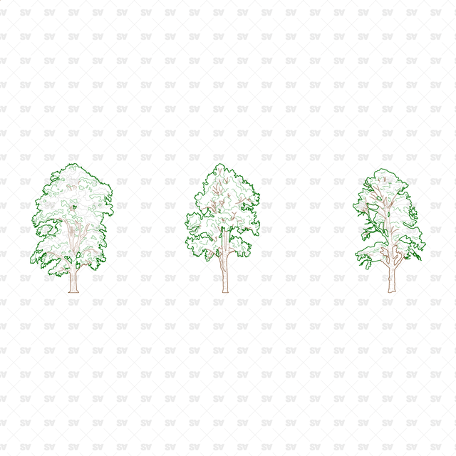 CAD, Vector, PNG Winter Trees in Color and B/W