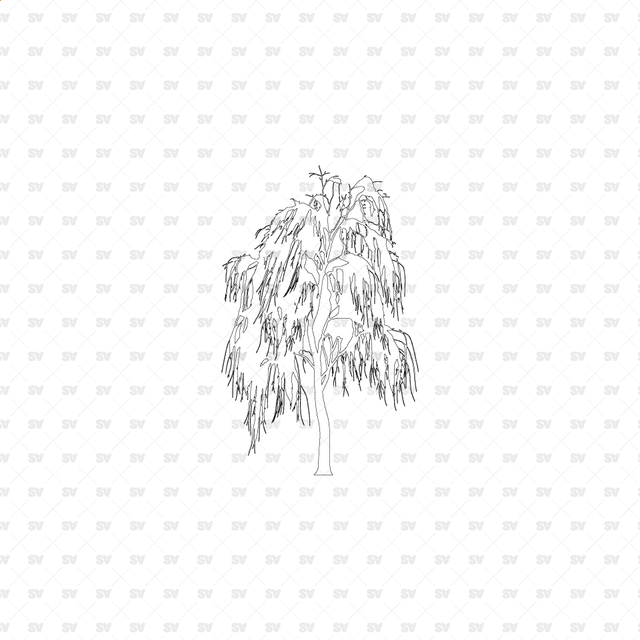 CAD, Vector, PNG Trees