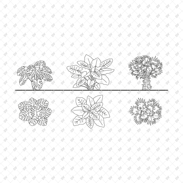 Revit Family Tropical Plants Set (Top + Side view)