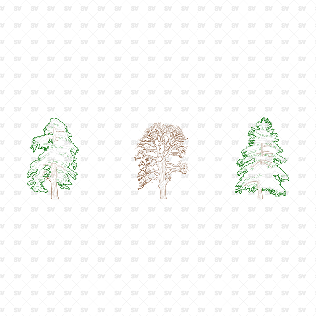 CAD, Vector, PNG Winter Trees in Color and B/W