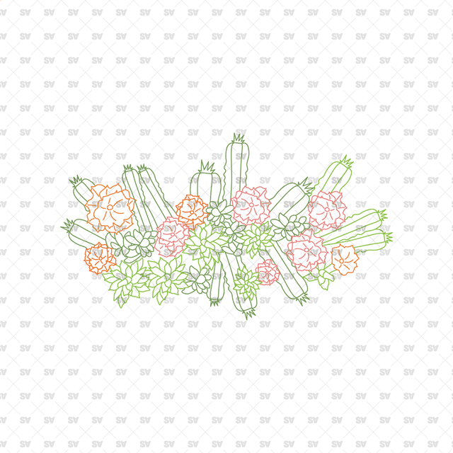 CAD, Vector, PNG Succulent and Cactus Landscapes in Top View in Color and B/W