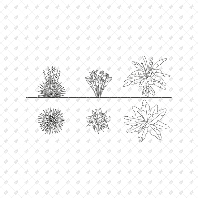 CAD, Vector Tropical Plants Set - Top + Side view