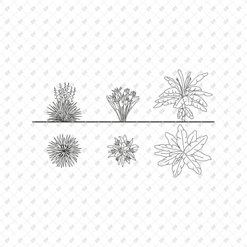 Revit Family Tropical Plants Set (Top + Side view) – Studio Alternativi