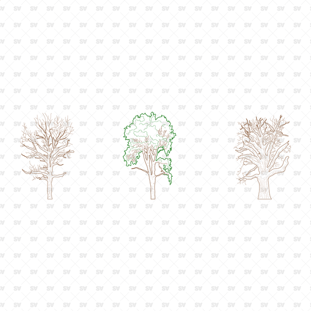 CAD, Vector, PNG Winter Trees in Color and B/W