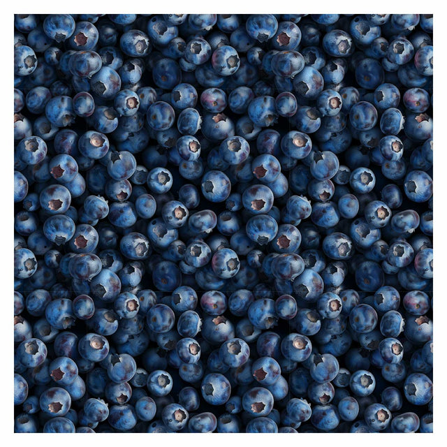 Pattern Library - Berries Textures (In top view)