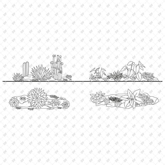 Revit Family Tropical Plants Set (Top + Side view)