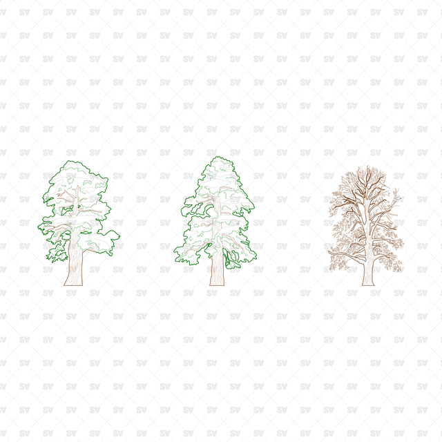 CAD, Vector, PNG Winter Trees in Color and B/W