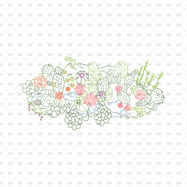 CAD, Vector, PNG Succulent and Cactus Landscapes in Top View in Color and B/W