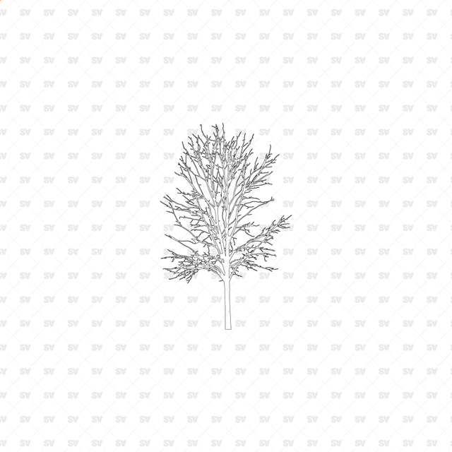 CAD, Vector, PNG Trees