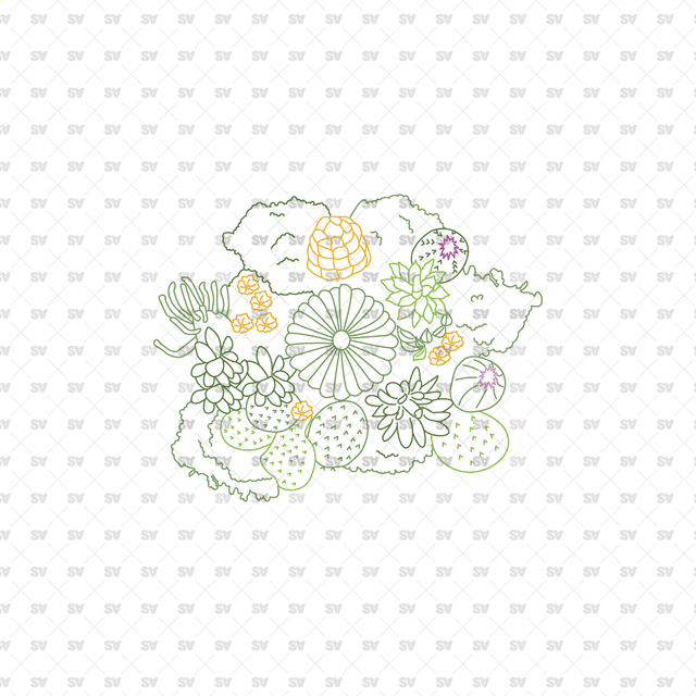 CAD, Vector, PNG Succulent and Cactus Landscapes in Top View in Color and B/W