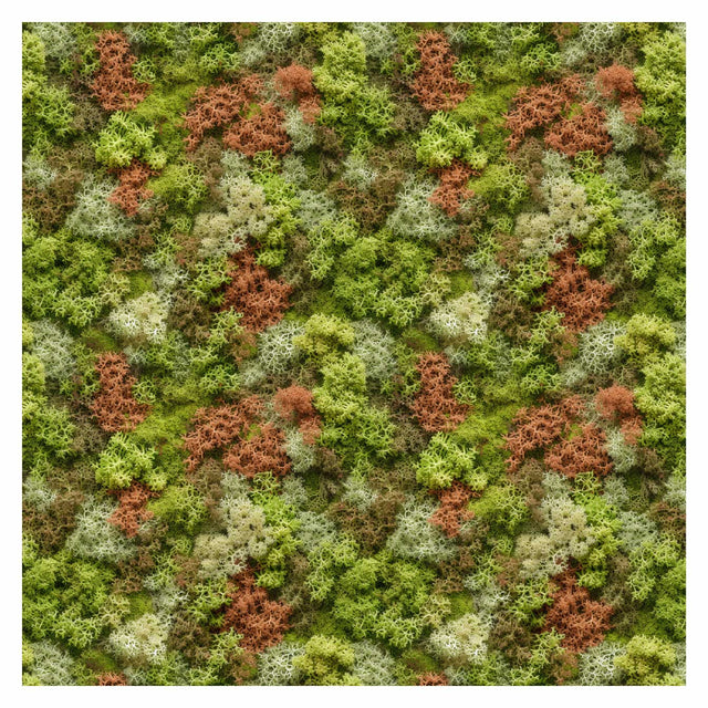 Pattern Library - Seamless Moss Textures