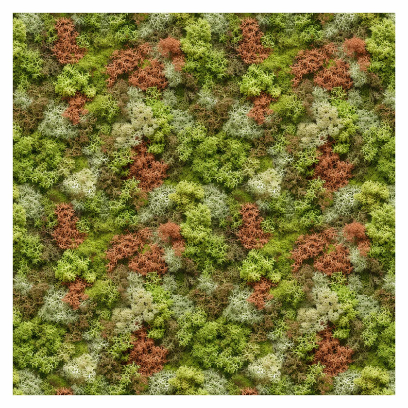 Architectural Materials | Patterns | Moss Textures – Studio Alternativi