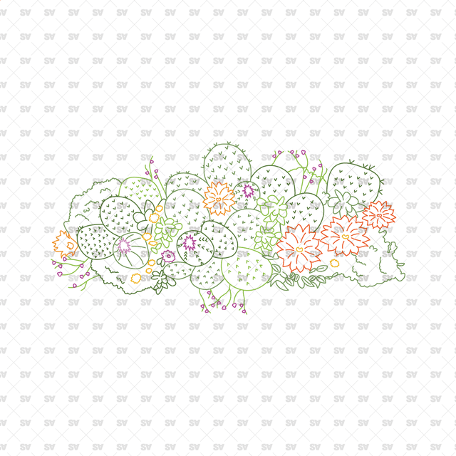 CAD, Vector, PNG Succulent and Cactus Landscapes in Top View in Color and B/W