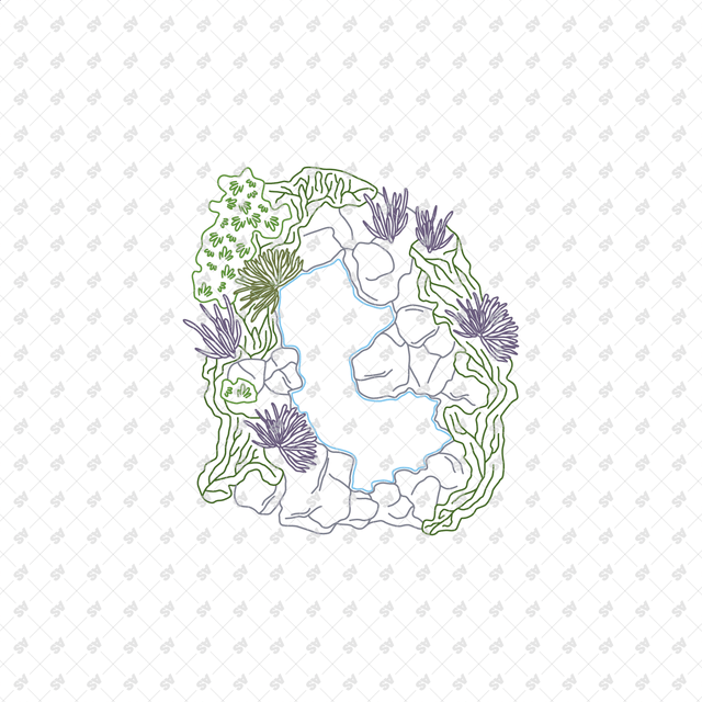 CAD, Vector, PNG Ponds Landscapes in Top View in Color and B/W