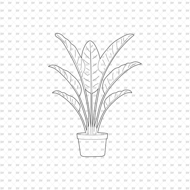 ArchiCAD DWG Vector PNG Houseplants in Top and Front View