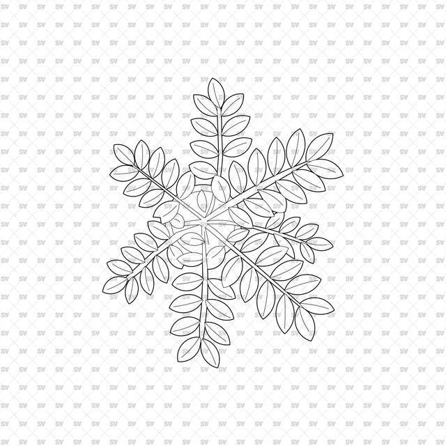 ArchiCAD DWG Vector PNG Houseplants in Top and Front View