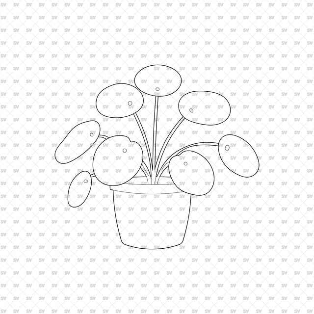 ArchiCAD DWG Vector PNG Houseplants in Top and Front View