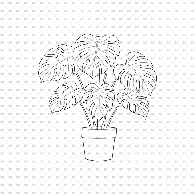 ArchiCAD DWG Vector PNG Houseplants in Top and Front View