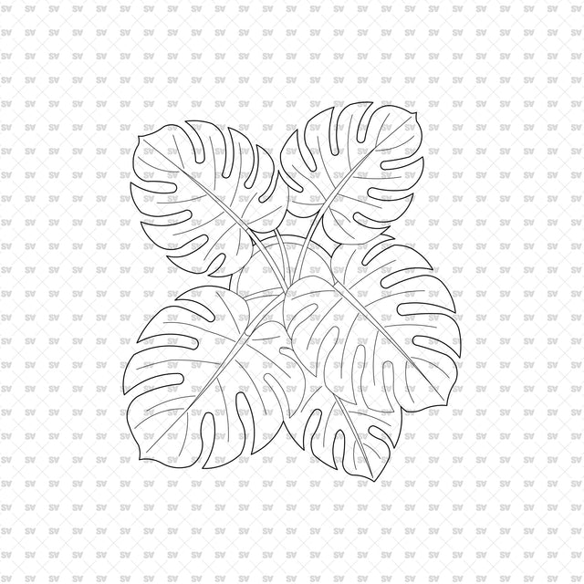ArchiCAD DWG Vector PNG Houseplants in Top and Front View