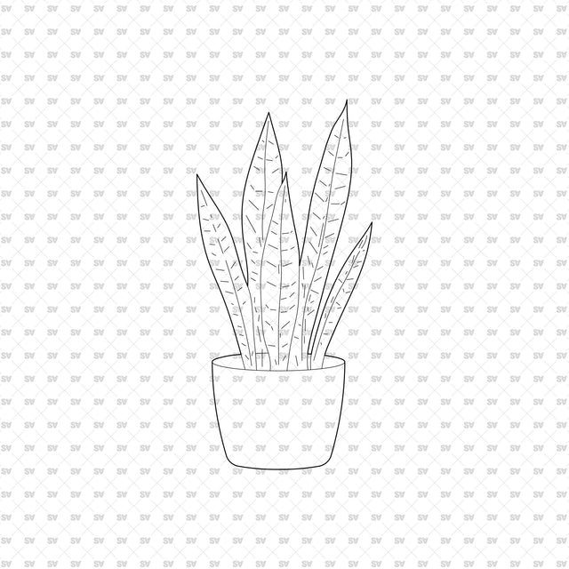 ArchiCAD DWG Vector PNG Houseplants in Top and Front View