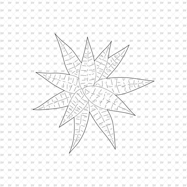 ArchiCAD DWG Vector PNG Houseplants in Top and Front View