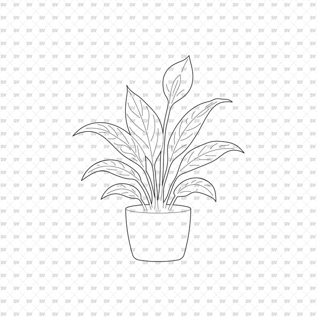 ArchiCAD DWG Vector PNG Houseplants in Top and Front View
