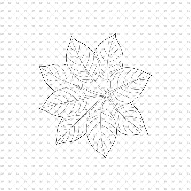 ArchiCAD DWG Vector PNG Houseplants in Top and Front View