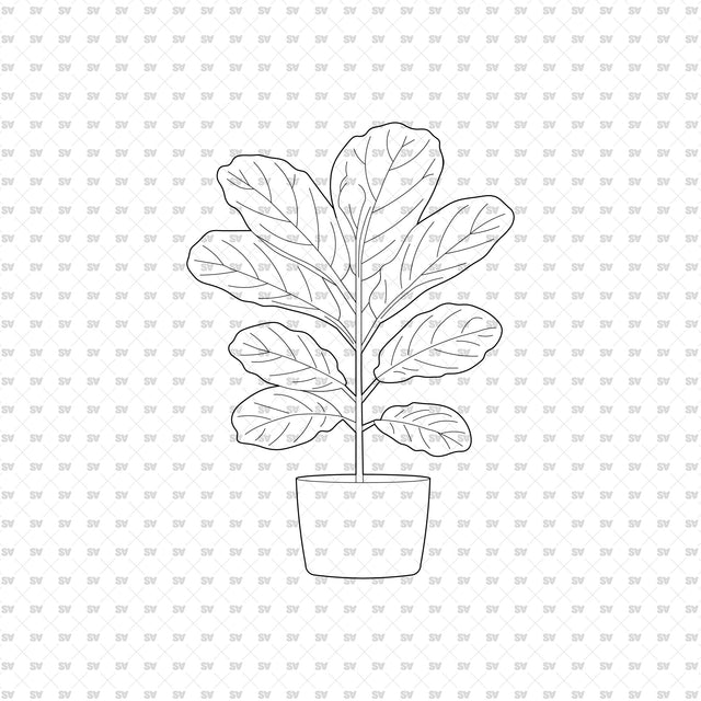 ArchiCAD DWG Vector PNG Houseplants in Top and Front View