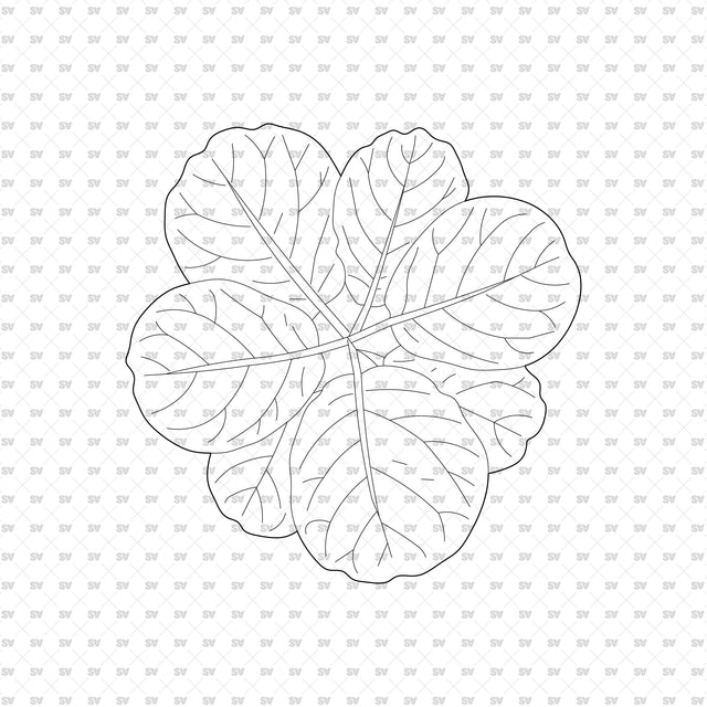 ArchiCAD DWG Vector PNG Houseplants in Top and Front View