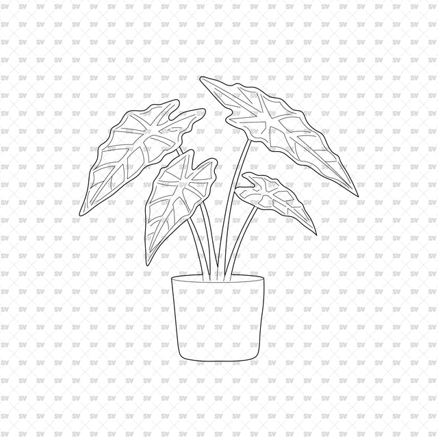 ArchiCAD DWG Vector PNG Houseplants in Top and Front View
