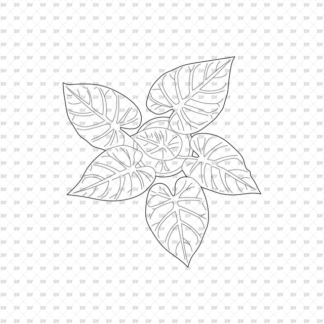 ArchiCAD DWG Vector PNG Houseplants in Top and Front View