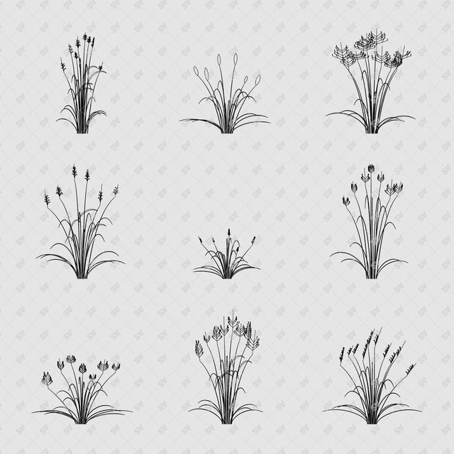 Sculptural grasses in front view - Catalogue Gray