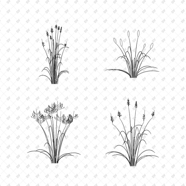 Sculptural grasses in front view - Detail 01 04