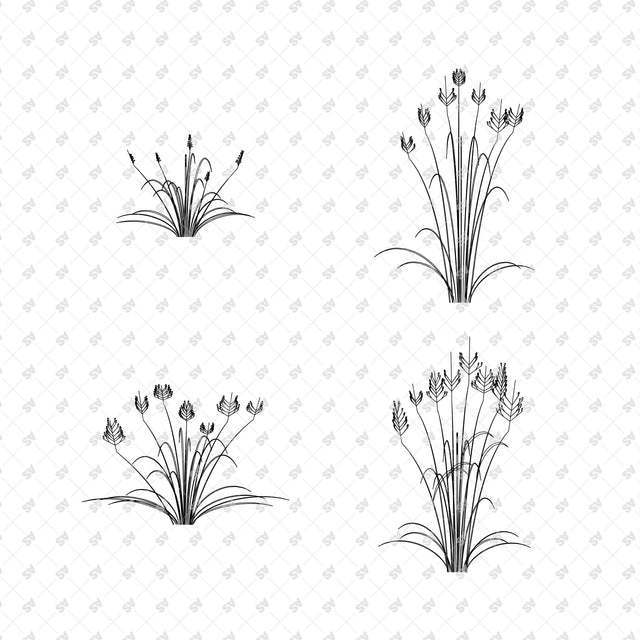Sculptural grasses in front view - Detail 05 08