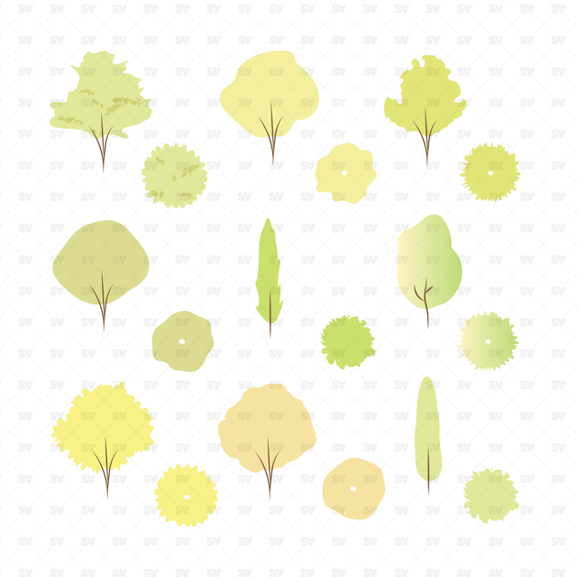 Vector, PNG Urban Trees in Top and Side Views